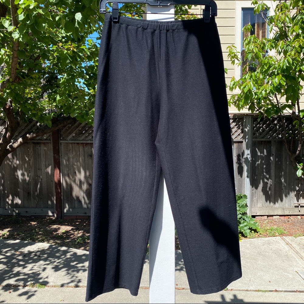 Eileen Fisher Wide Leg Black Pant PP